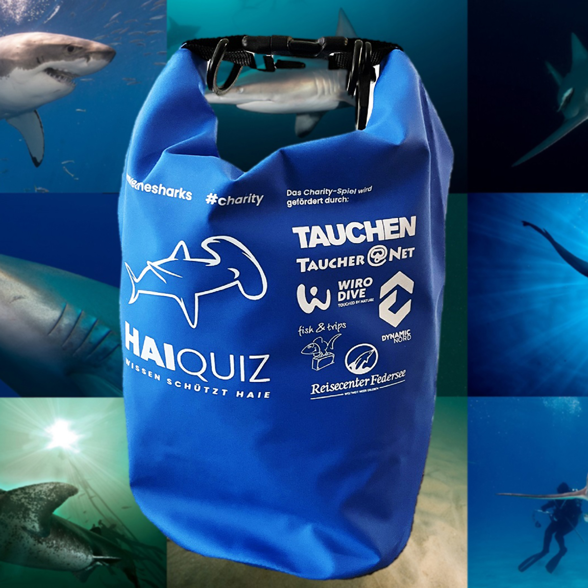 Das HAI-QUIZ von OCEAN HEROES – Bild 2